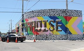 Your Miami Adventure Awaits media 4