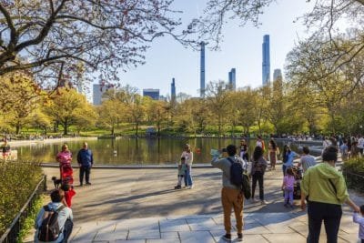 Central Park for Strollers NYC
