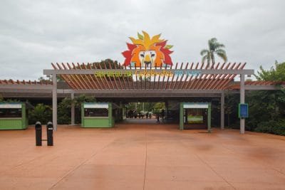 San Diego Zoo for Family Fun San Diego