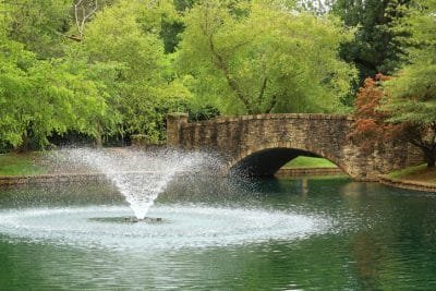 Beautiful Freedom Park